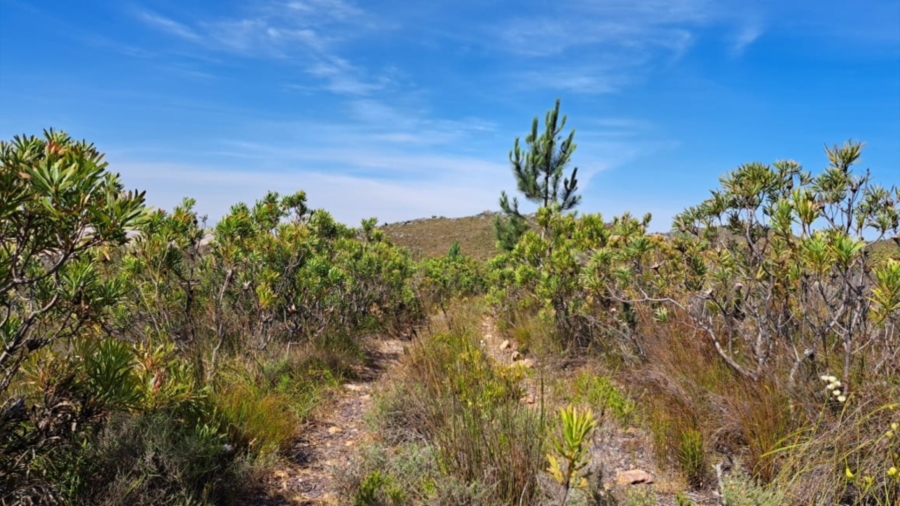 0 Bedroom Property for Sale in Caledon Rural Western Cape